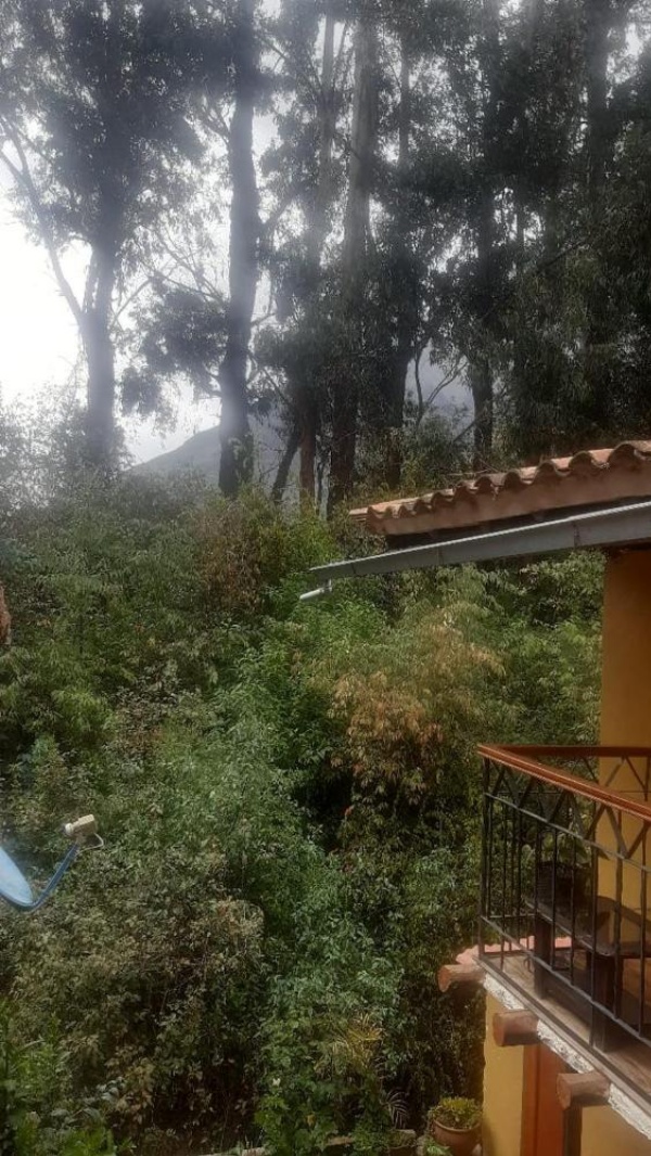 Wayras Hostal image 10